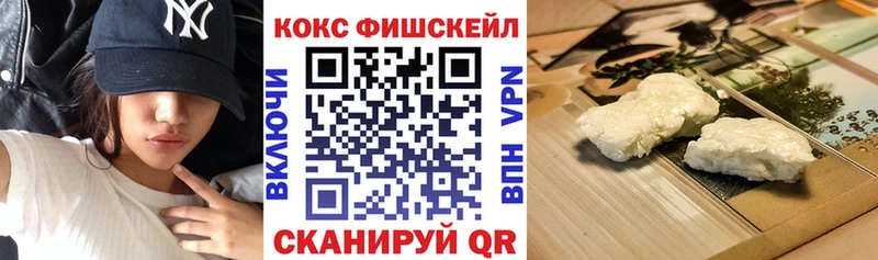 как найти наркотики  Шуя  Cocaine Эквадор 