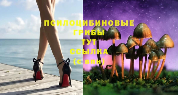 сатива Балабаново
