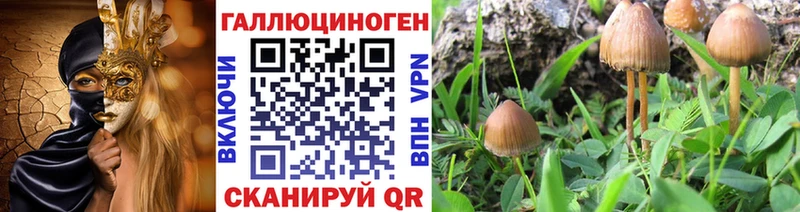 Галлюциногенные грибы мицелий  купить закладку  Шуя 